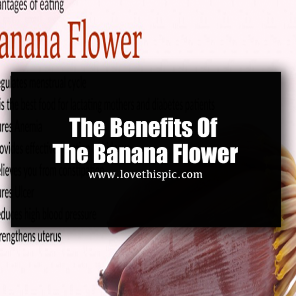 The Benefits Of The Banana Flower