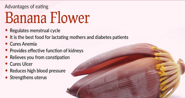 The Benefits Of The Banana Flower - picture 2