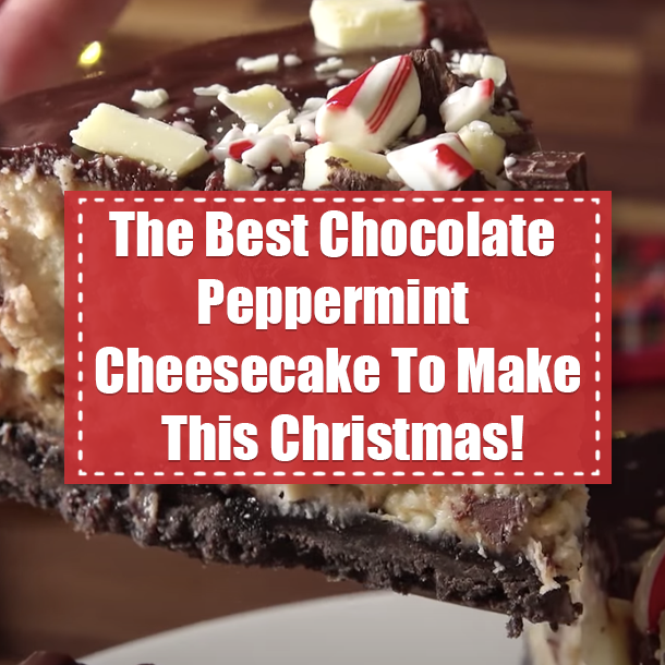 The Best Chocolate Peppermint Cheesecake To Make This Christmas!