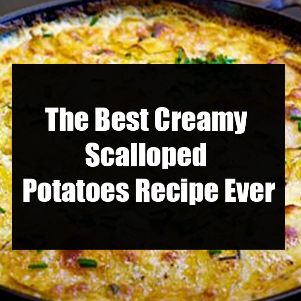The Best Creamy Scalloped Potatoes Recipe Ever