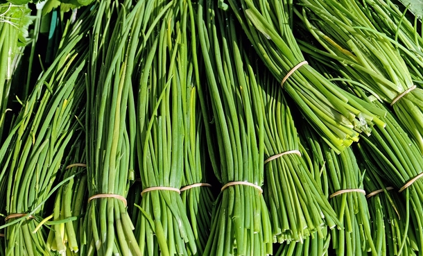 The Best Way To Grow Chives (5 Simple Steps!) - picture 2