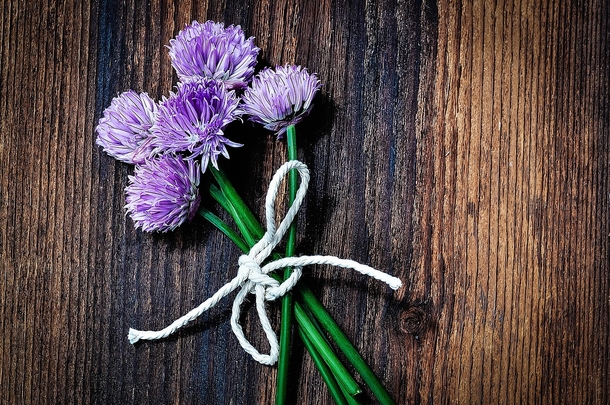 The Best Way To Grow Chives (5 Simple Steps!) - picture 3
