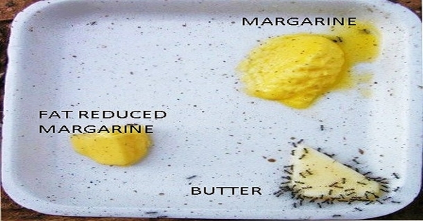 The FAT Facts: Butter vs Margarine - picture 2