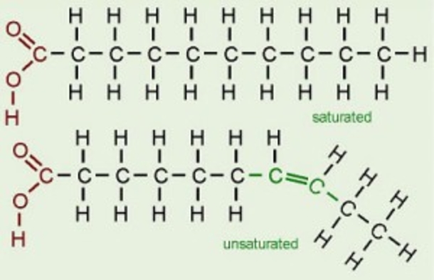 The FAT Facts: Butter vs Margarine - picture 3