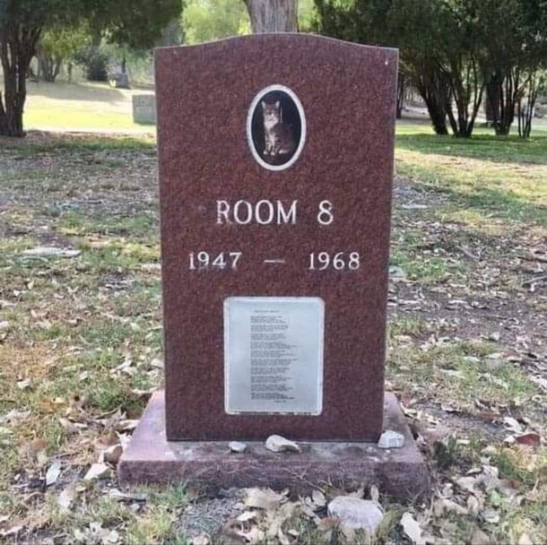 The heartwaming story of ‘Room 8,’ loving schoolhouse cat immortalized in gravestone - picture 2