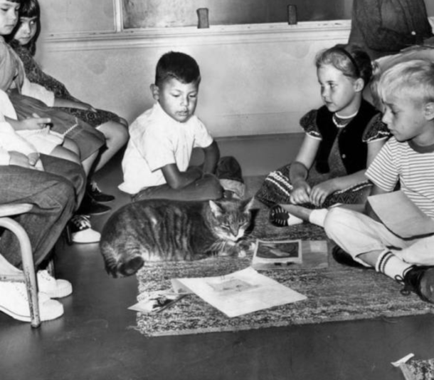 The heartwaming story of ‘Room 8,’ loving schoolhouse cat immortalized in gravestone - picture 5