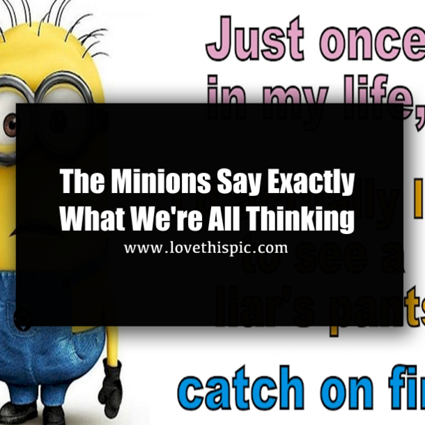 The Minions Say Exactly What We're All Thinking