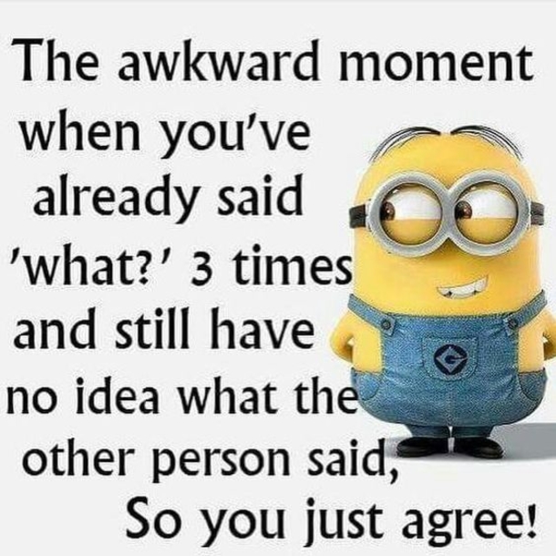 The Minions Say Exactly What We're All Thinking - picture 3