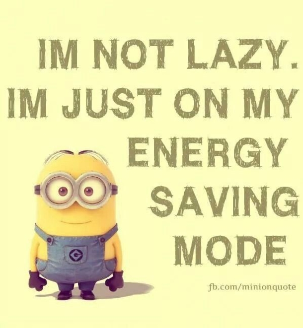 The Minions Say Exactly What We're All Thinking - picture 4