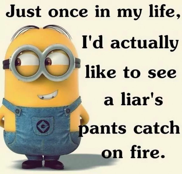 The Minions Say Exactly What We're All Thinking - picture 5