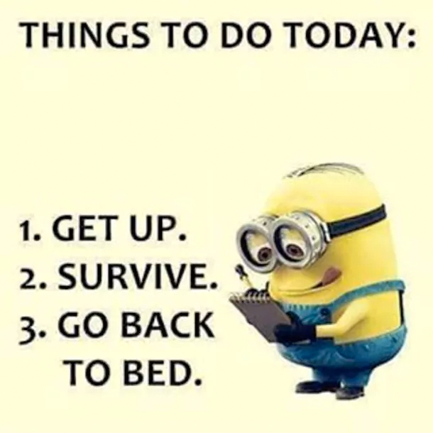 The Minions Say Exactly What We're All Thinking - picture 6