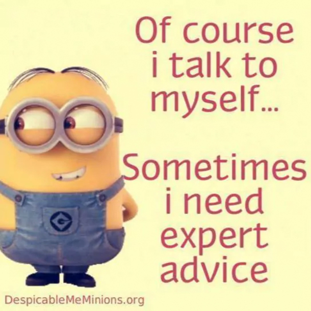 The Minions Say Exactly What We're All Thinking - picture 7