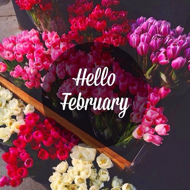 The Month Of Love: 100+ Hello February 2024 Quotes And Sayings - picture 9