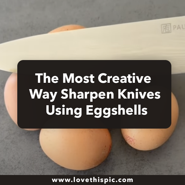 The Most Creative Way Sharpen Knives Using Eggshells