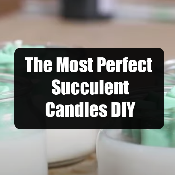 The Most Perfect Succulent Candles DIY