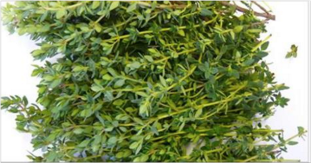 The Most Powerful Herb That Destroys Stomach Aches, Diarrhea, Arthritis, Sore Throat, Flu Virus… - picture 2