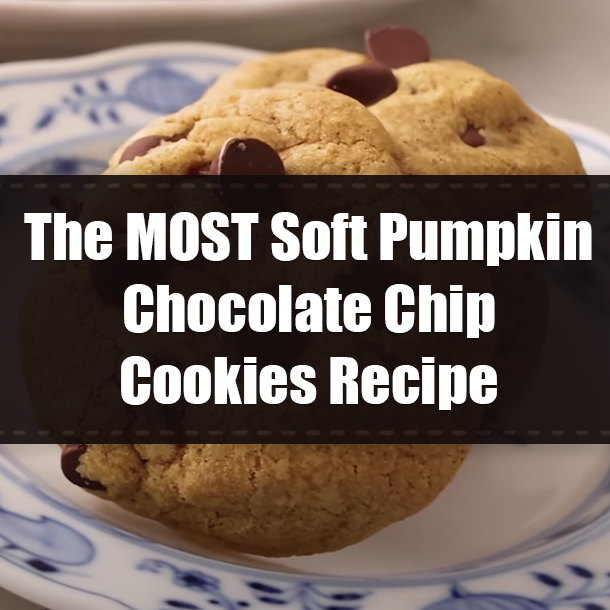 The MOST Soft Pumpkin Chocolate Chip Cookies Recipe