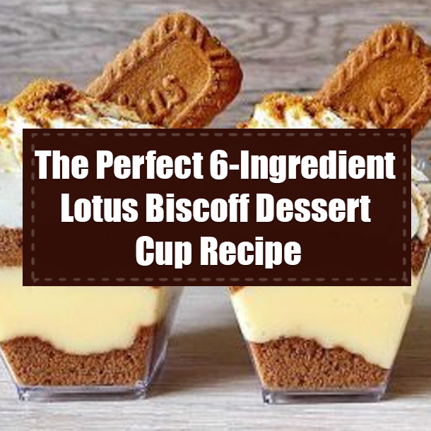 The Perfect 6-Ingredient Lotus Biscoff Dessert Cup Recipe