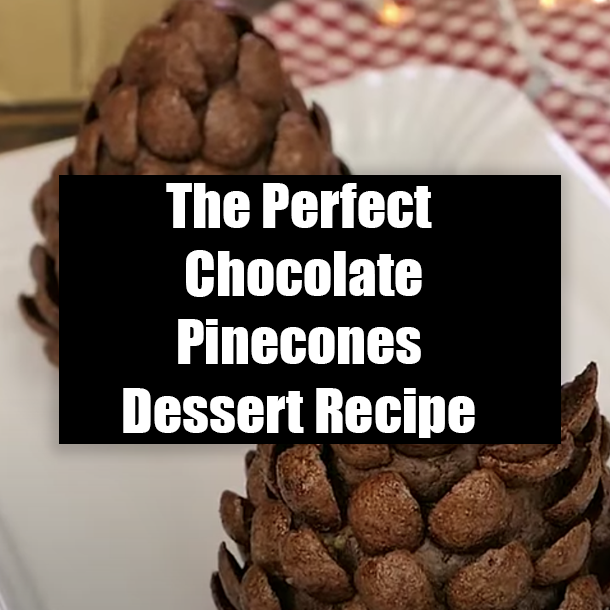 The Perfect Chocolate Pinecones Dessert Recipe