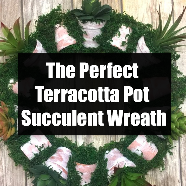 The Perfect Terracotta Pot Succulent Wreath