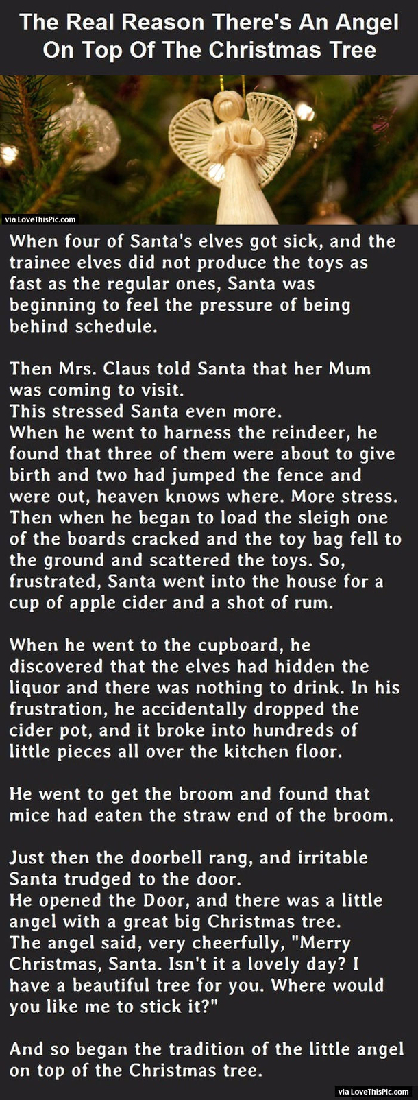 The Real Reason There Is An Angel On Top Of The Christmas Tree.  This Is Priceless!