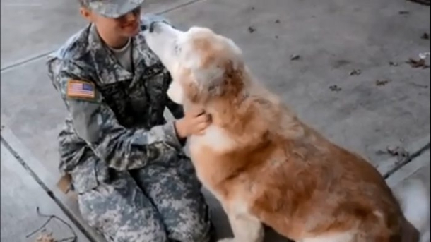 The Second This Dog Learned His Owner Came Back From Deployment I Was In Tears - picture 4