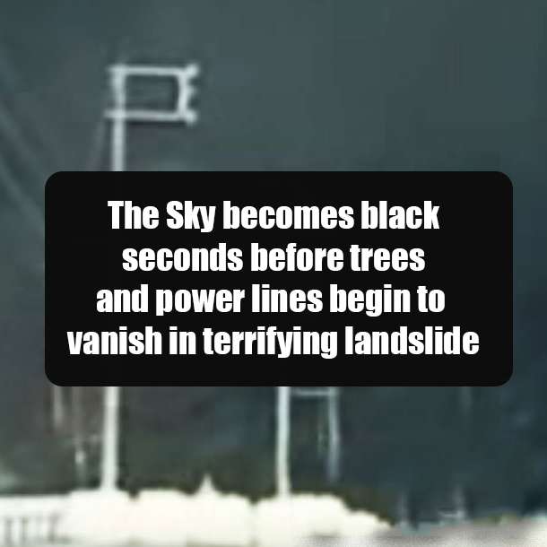 The Sky becomes black seconds before trees and power lines begin to vanish in terrifying landslide