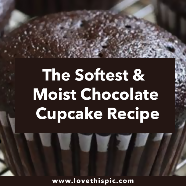 The Softest & Moist Chocolate Cupcake Recipe