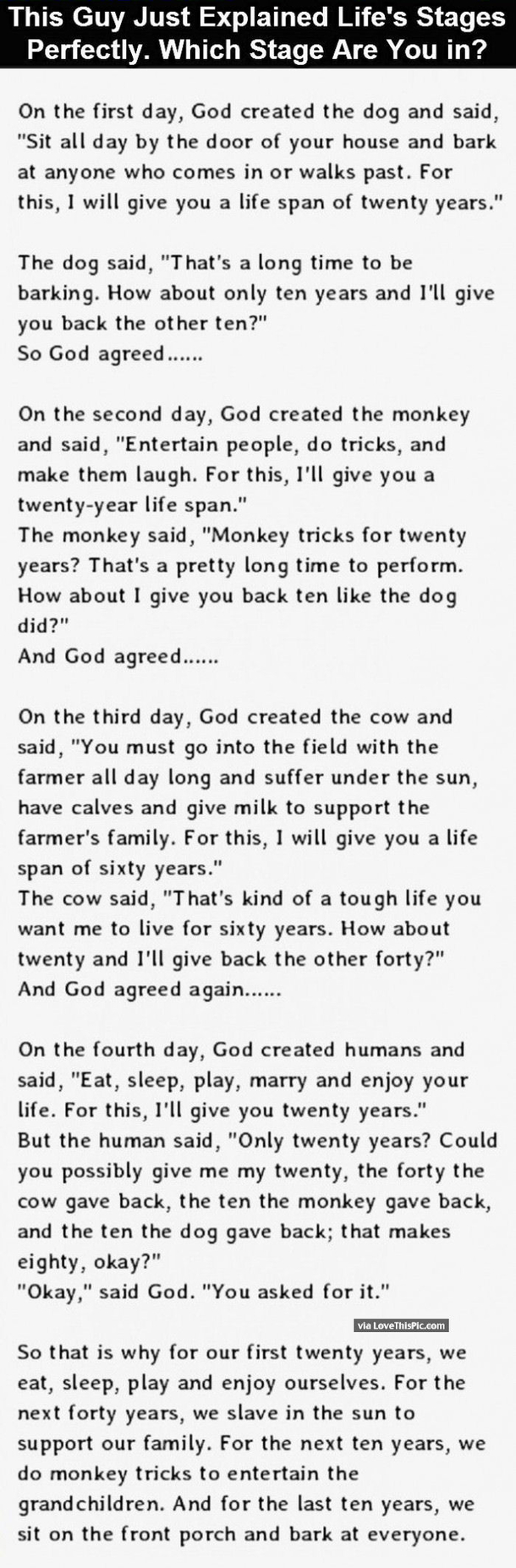 The Stages Of Life Explained. This Is So Accurate It Hurts.