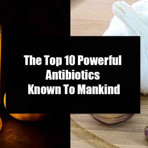 The Top 10 Powerful Antibiotics Known To Mankind