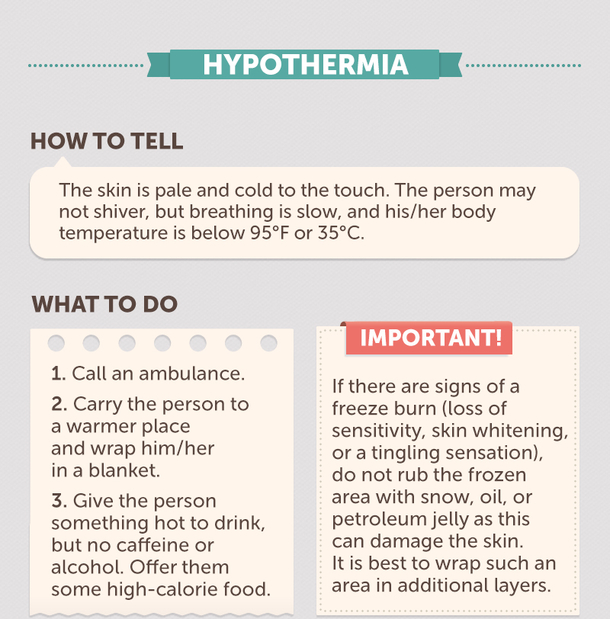 The Ultimate Guide To Giving First Aid - picture 10