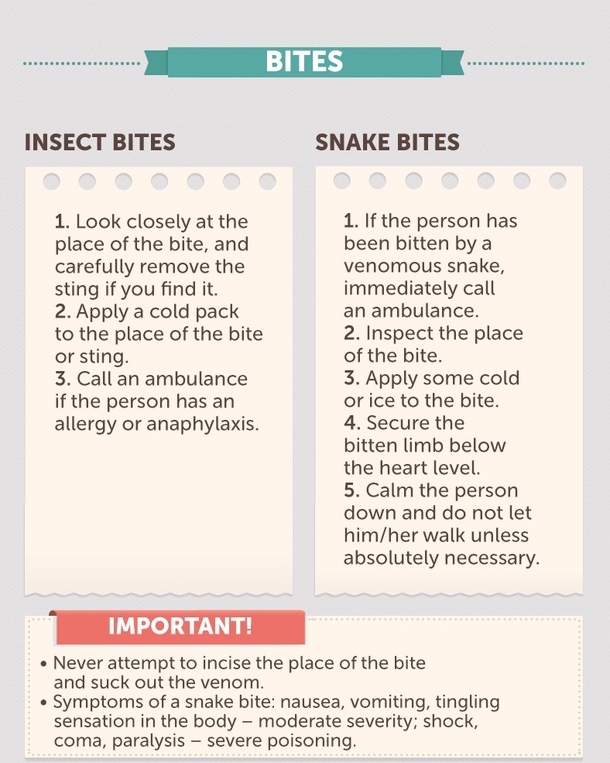 The Ultimate Guide To Giving First Aid - picture 15