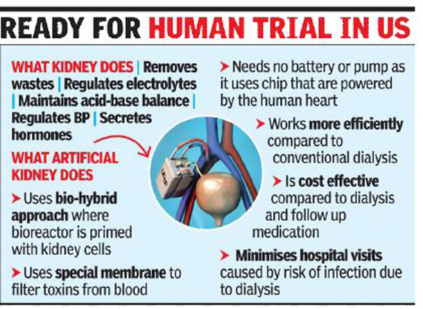 The World’s First Artificial Kidney Is Going To Replace Dialysis In The Next Few Years. This Is How It Works! - picture 3