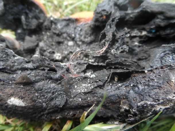 Their Car Started To Fill With Smoke. When They Looked At Their Son's Shoes, They Were in SHOCK! - picture 2