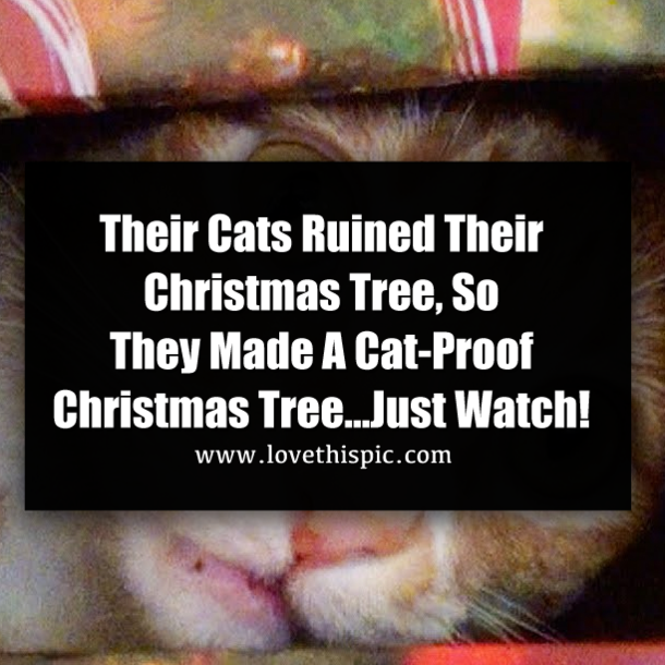 Their Cats Ruined Their Christmas Tree, So They Made A Cat-Proof Christmas Tree...Just Watch!