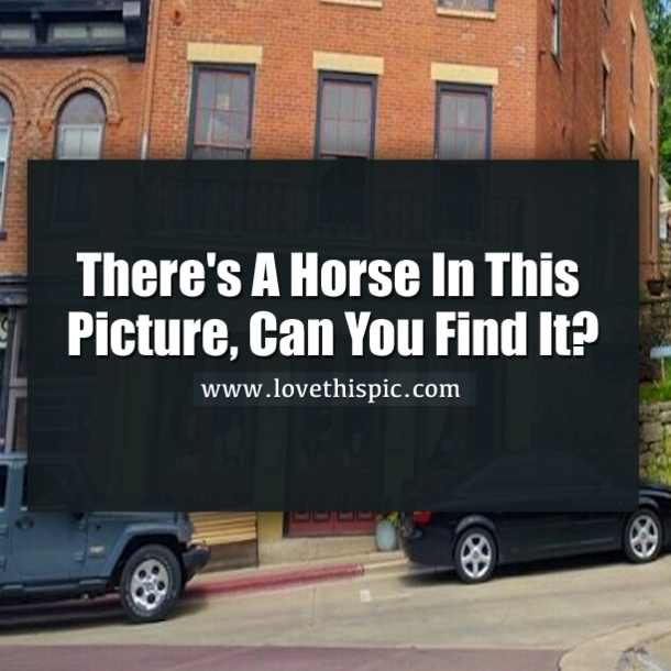 There's A Horse In This Picture, Can You Find It?