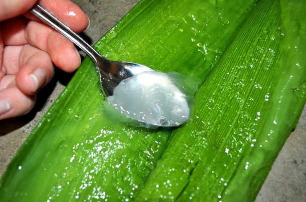 These 5 Natural Ingredients Will Help Your Receding Gums Grow Back - picture 4