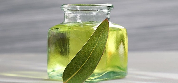 These 5 Natural Ingredients Will Help Your Receding Gums Grow Back - picture 5