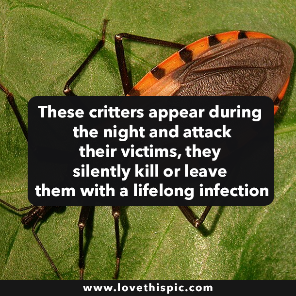 These critters appear during the night and attack their victims, they silently kill or leave them with a lifelong infection