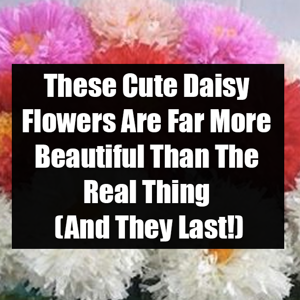These Cute Daisy Flowers Are Far More Beautiful Than The Real Thing (And They Last!)