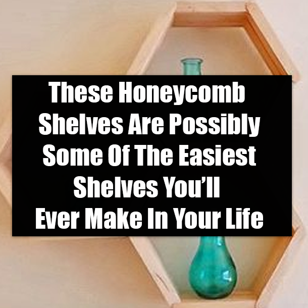 These Honeycomb Shelves Are Possibly Some Of The Easiest Shelves You’ll Ever Make In Your Life