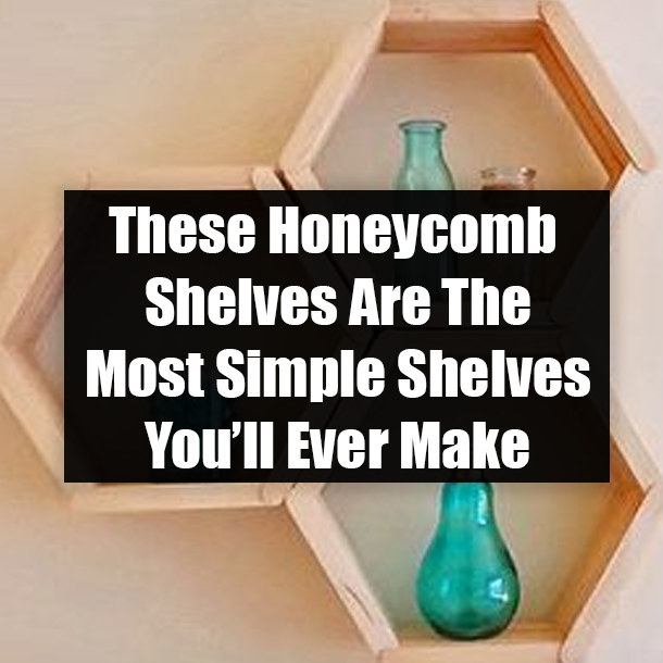 These Honeycomb Shelves Are The Most Simple Shelves You’ll Ever Make