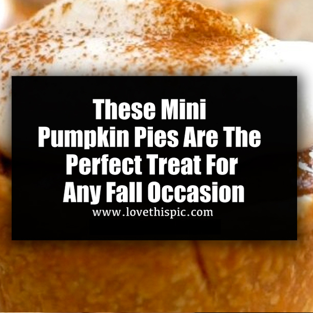 These Mini Pumpkin Pies Are The Perfect Treat For Any Fall Occasion