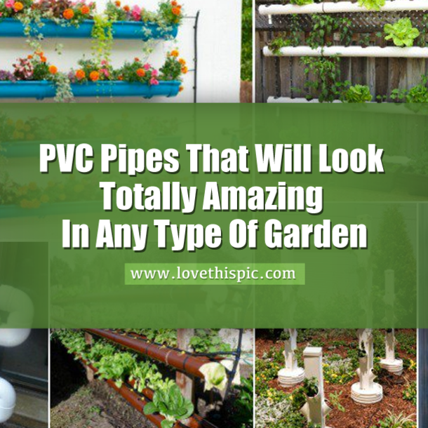 These PVC Pipe Ideas Will Look Amazing In Any Type Of Garden!