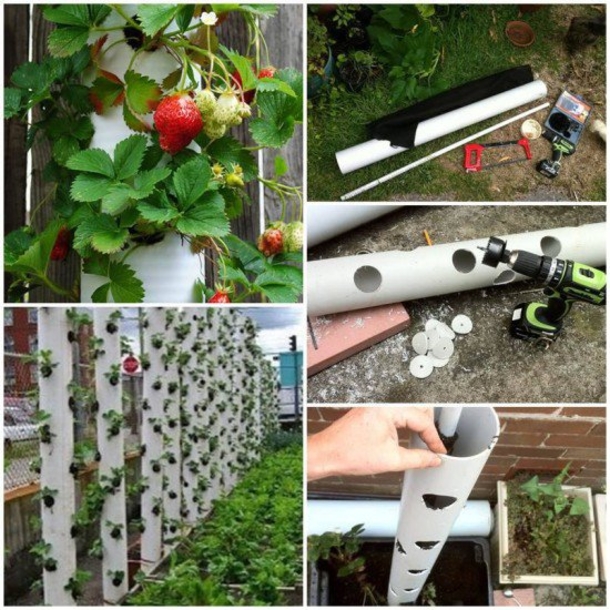 These PVC Pipe Ideas Will Look Amazing In Any Type Of Garden! - picture 10