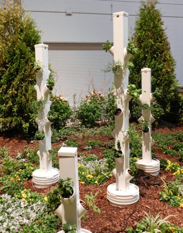 These PVC Pipe Ideas Will Look Amazing In Any Type Of Garden! - picture 13