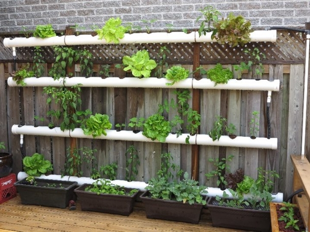 These PVC Pipe Ideas Will Look Amazing In Any Type Of Garden! - picture 14