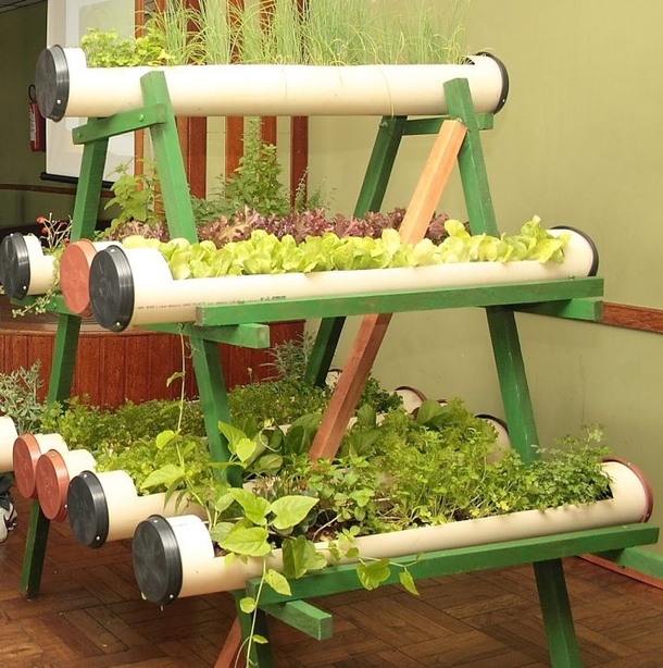These PVC Pipe Ideas Will Look Amazing In Any Type Of Garden! - picture 4