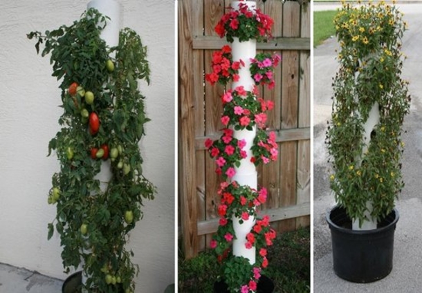 These PVC Pipe Ideas Will Look Amazing In Any Type Of Garden! - picture 7