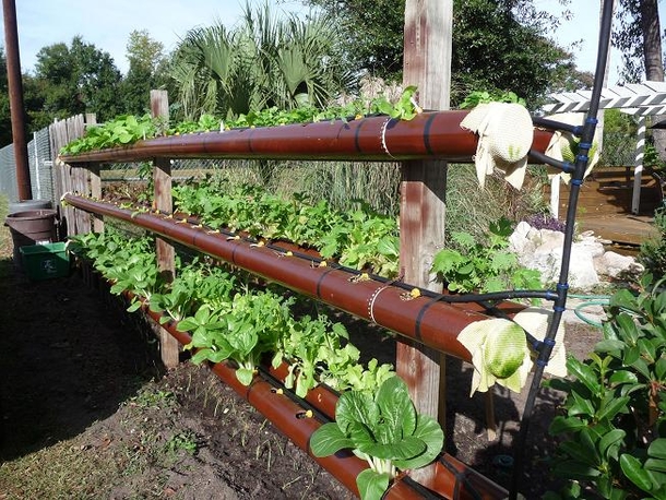 These PVC Pipe Ideas Will Look Amazing In Any Type Of Garden! - picture 8